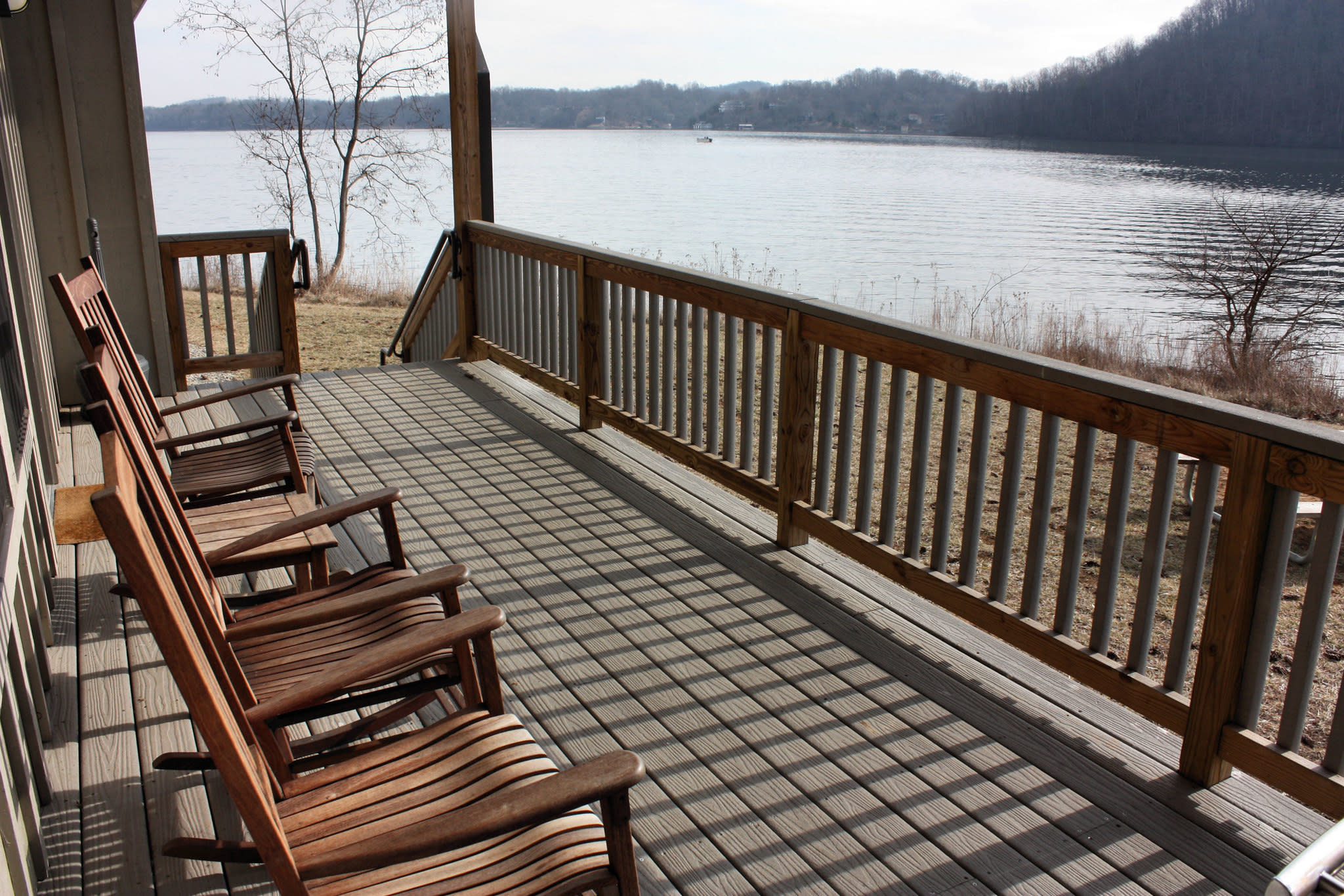 Are Dogs Allowed At Claytor Lake