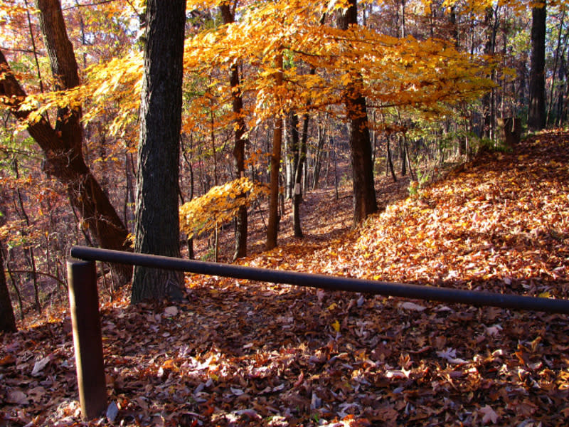 chestnut ridge bike trail