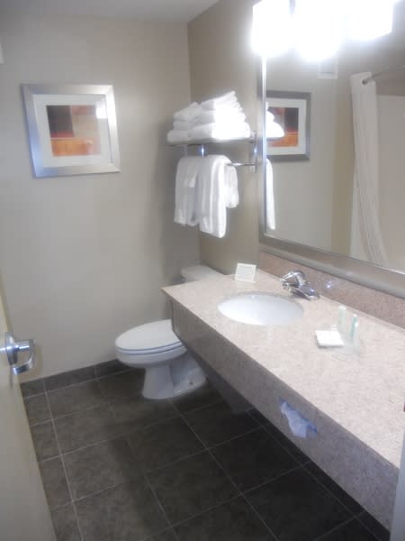 Comfort Suites At Ridgewood Farm Salem Va 24153