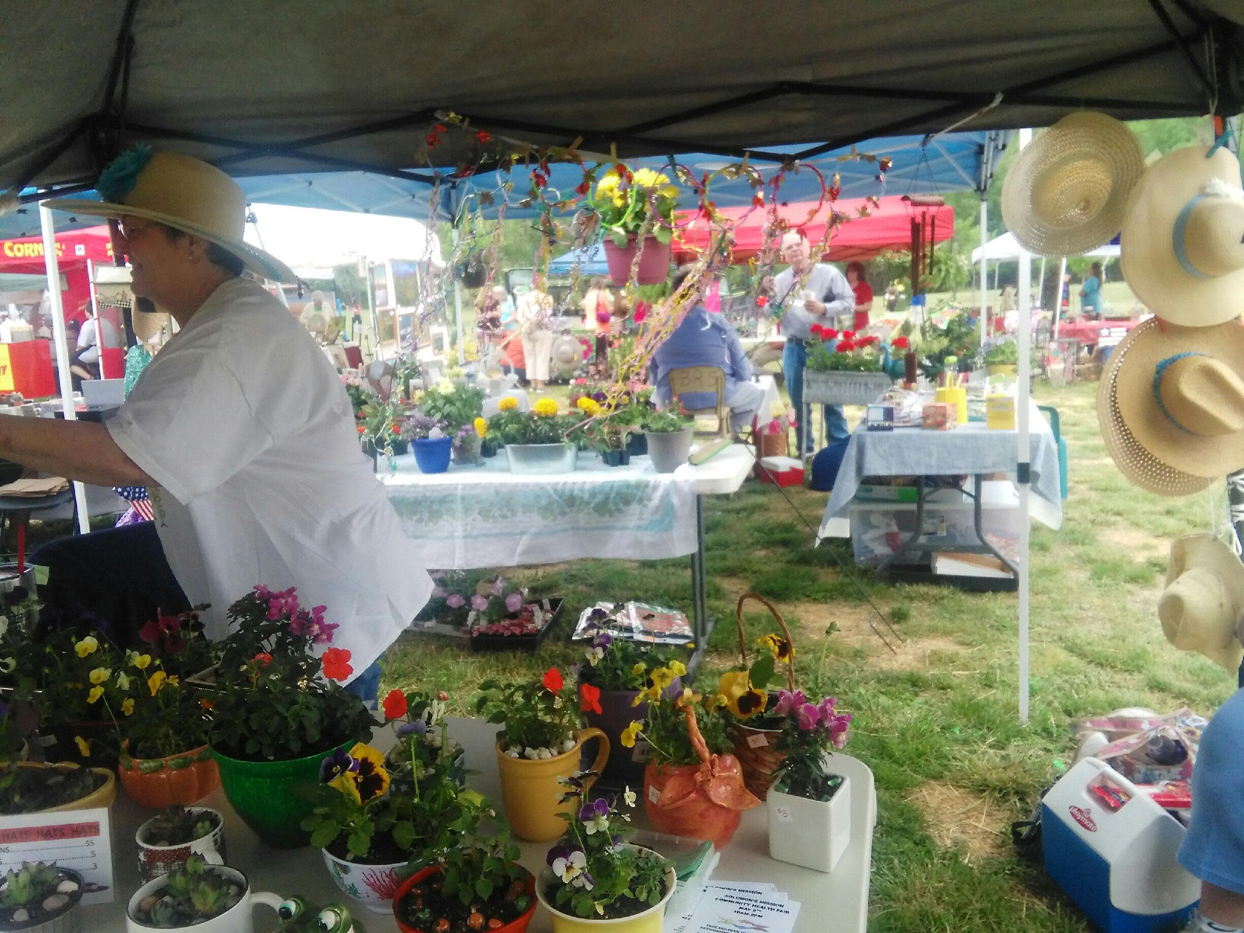 Buchanan Garden Festival Buchanan, VA 24066