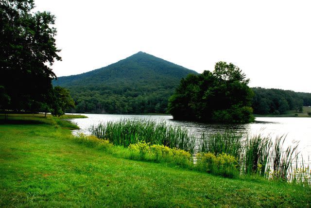 Public Lakes Guide Virginia Fishing Regulations 2020