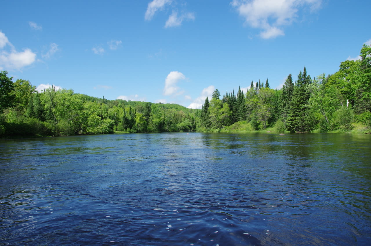 Great Northern Fly Fishing