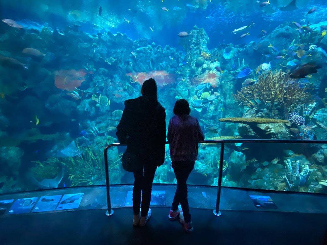 Aquarium Of The Pacific