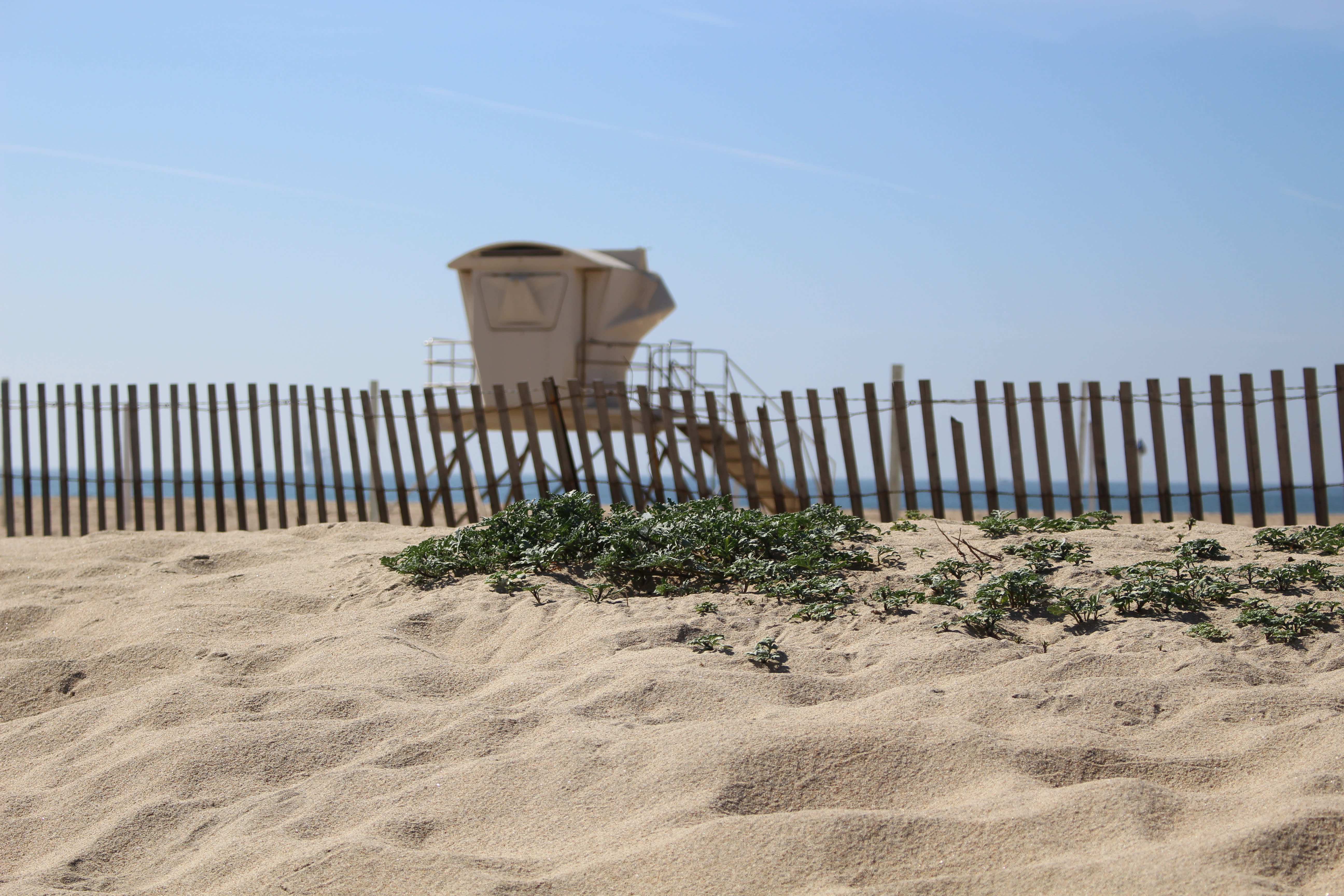 Bolsa Chica State Beach Rv Camping Bolsa Chica State Beach Rv Camping