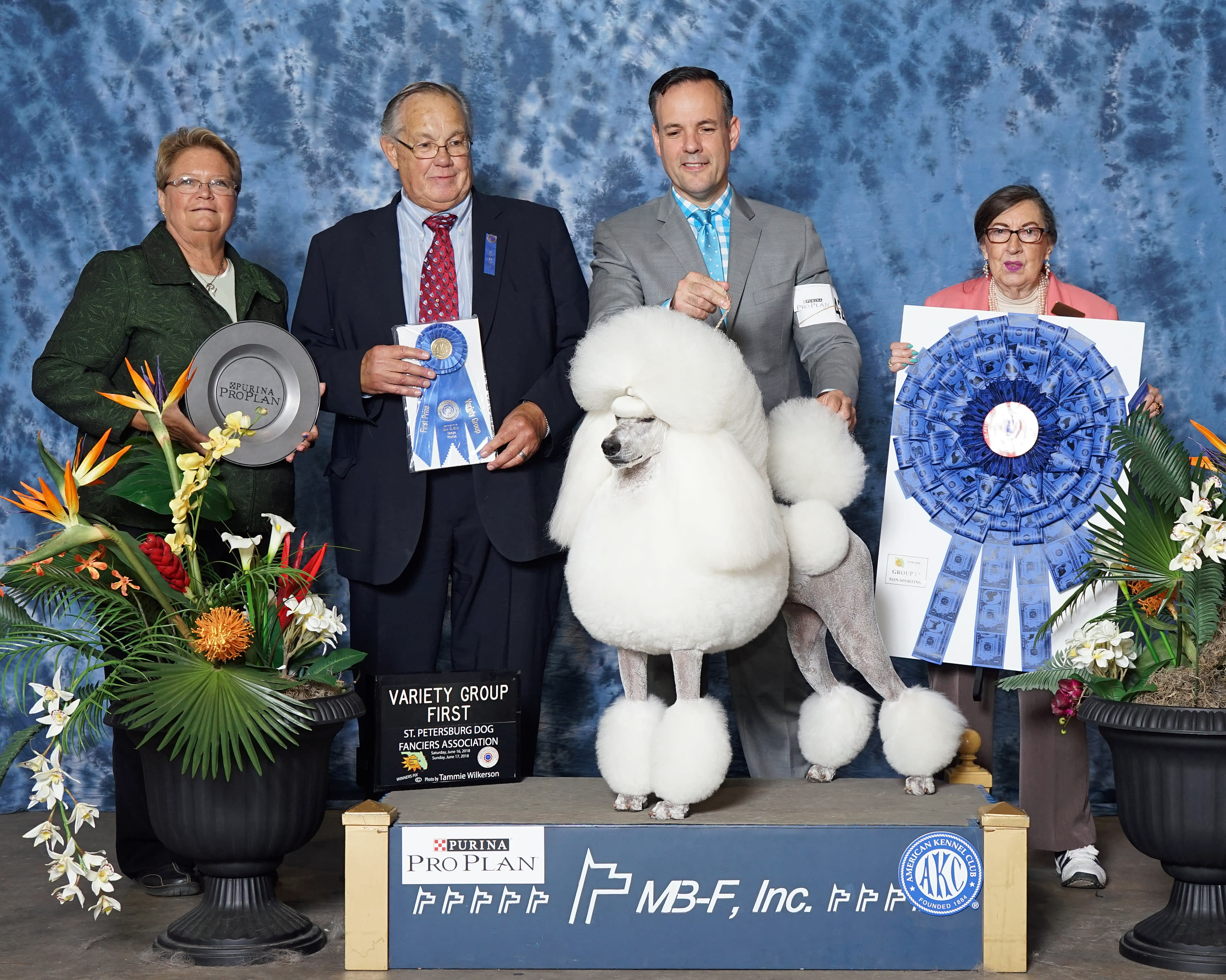 AKC ALL BREED DOG SHOW