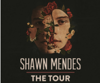 Shawn Mendes: The Tour