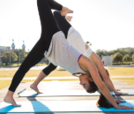 Free Yoga in the Park
