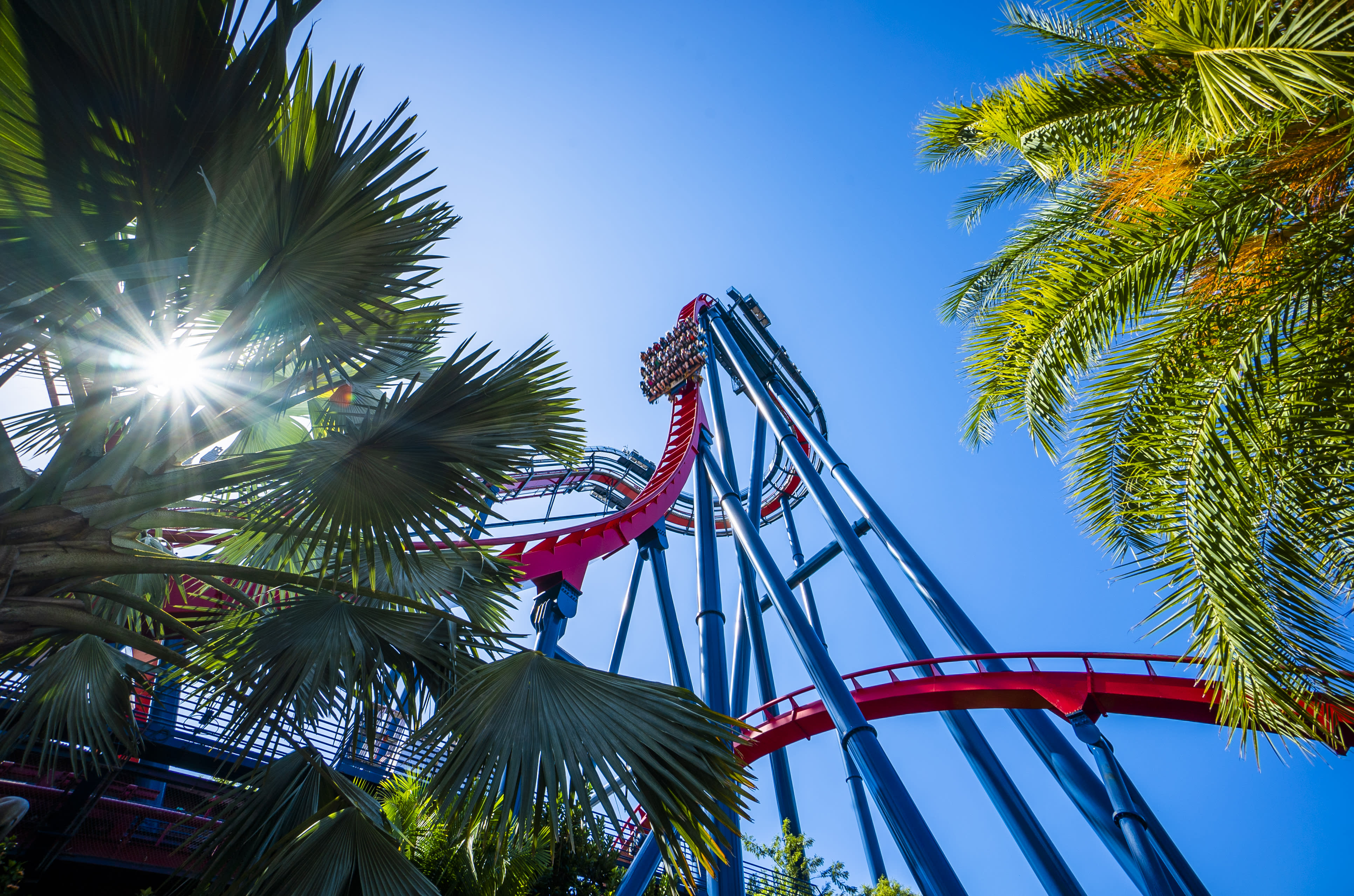 Are Dogs Allowed In Busch Gardens