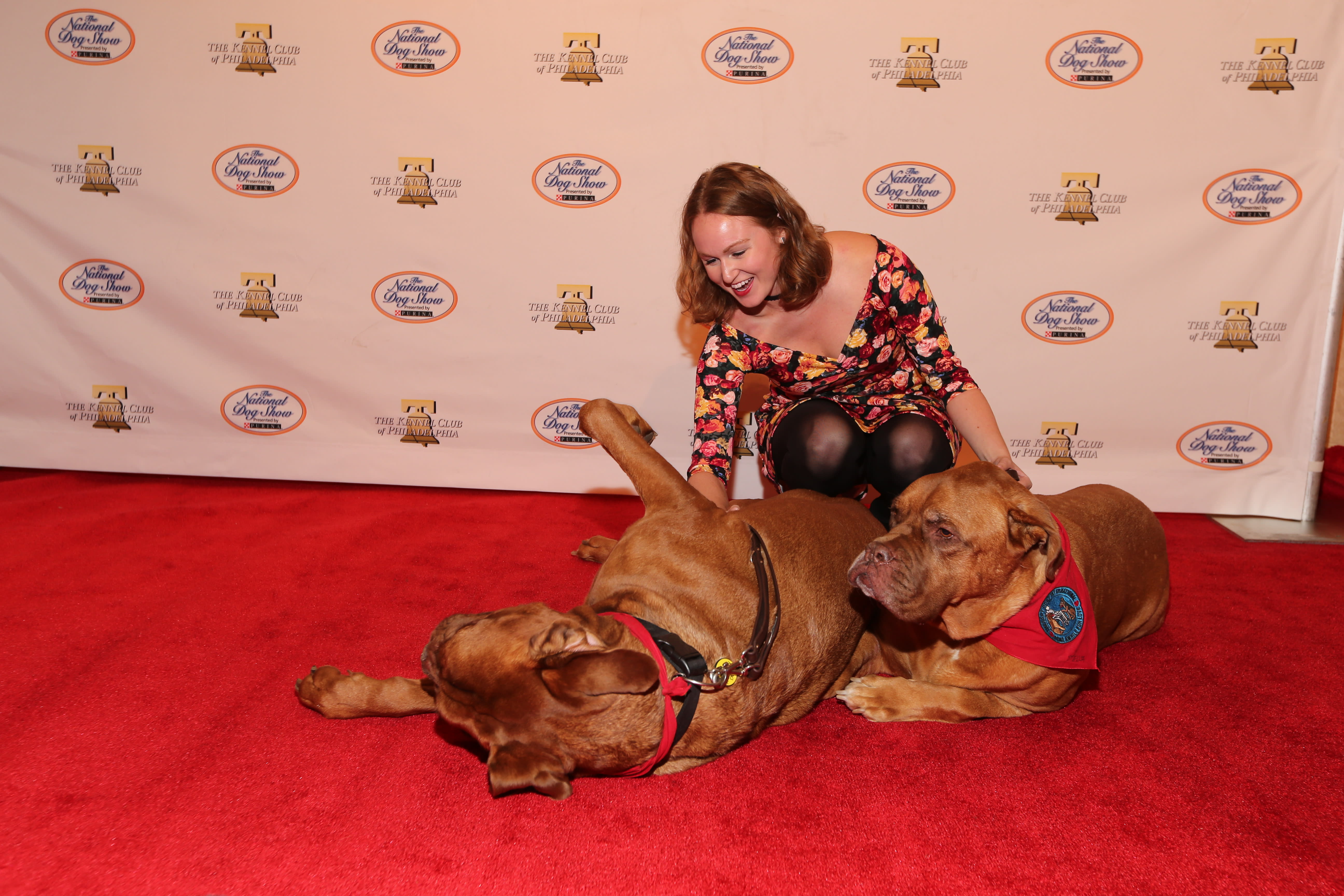 The Kennel Club Of Philadelphia