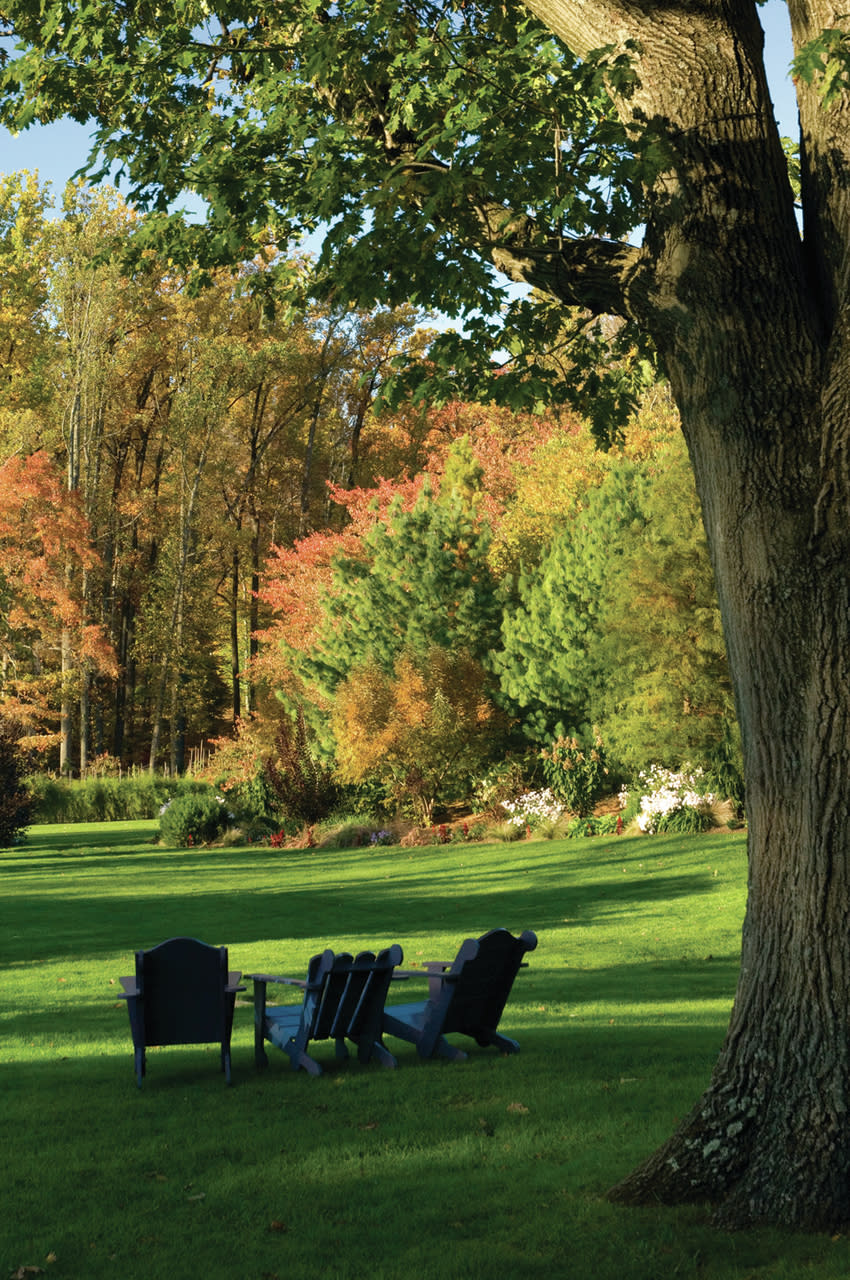 Chanticleer