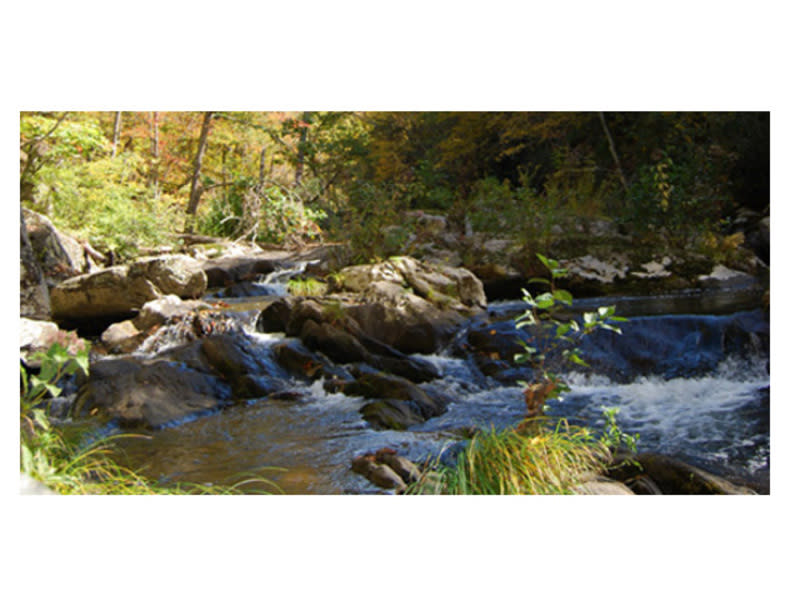 Bottom creek gorge pictures