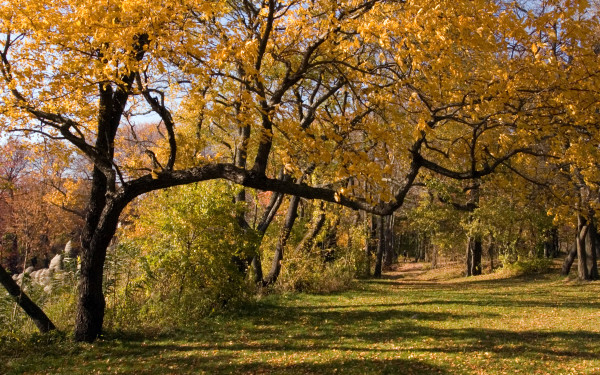 Hempstead Lake State Park