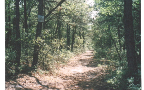 Long Island Camping Campgrounds Discover Long Island