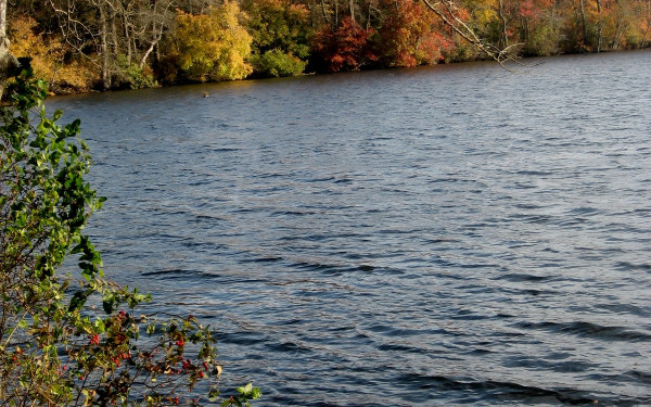 Lake Ronkonkoma County Park