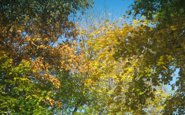 Blydenburgh County Park