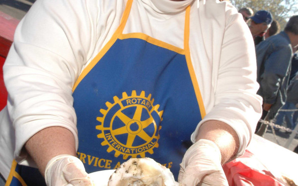 Oyster Festival