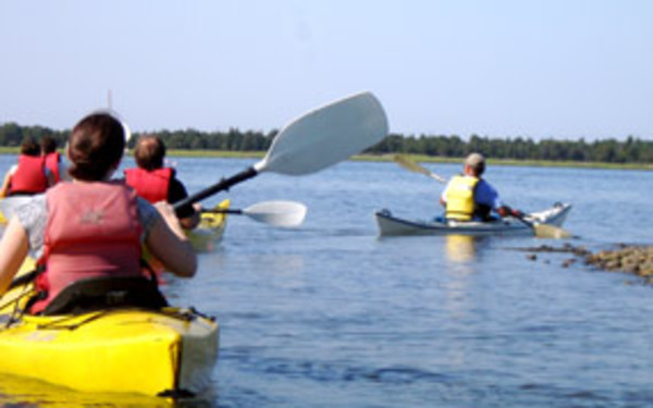 Shelter Island Kayak Tours