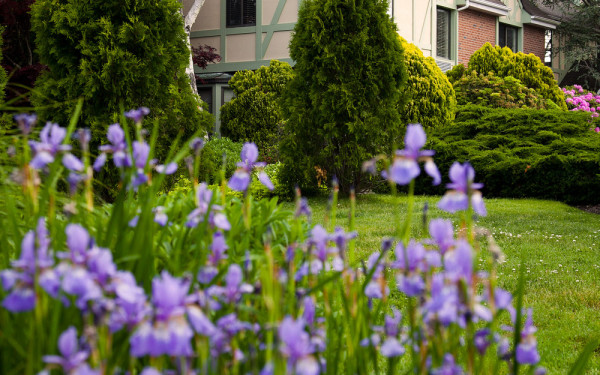 Southampton Inn