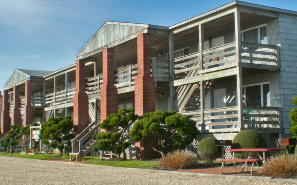 Born Free Hotel