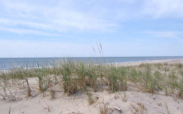Coopers Beach