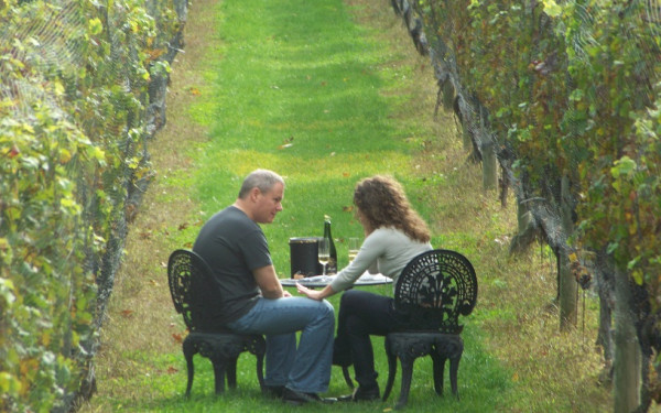 Sannino Vineyard and B&B