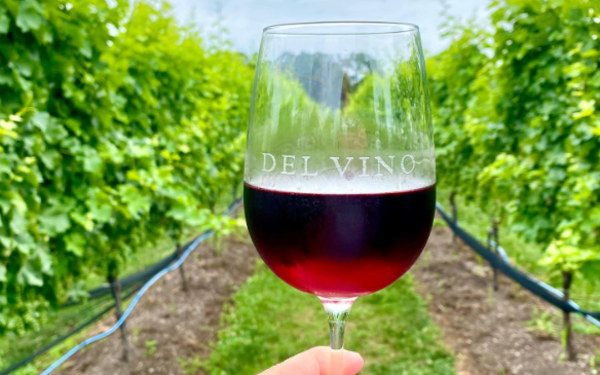 Del Vino Vineyards