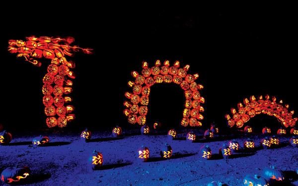 Great Jack O’Lantern Blaze