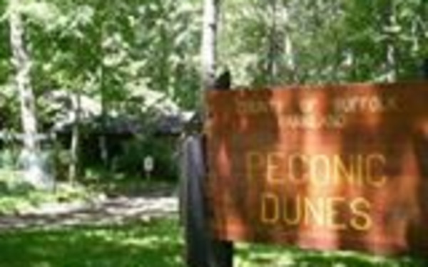 Peconic Dunes County Park