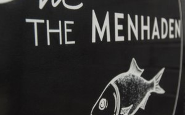 The Menhaden