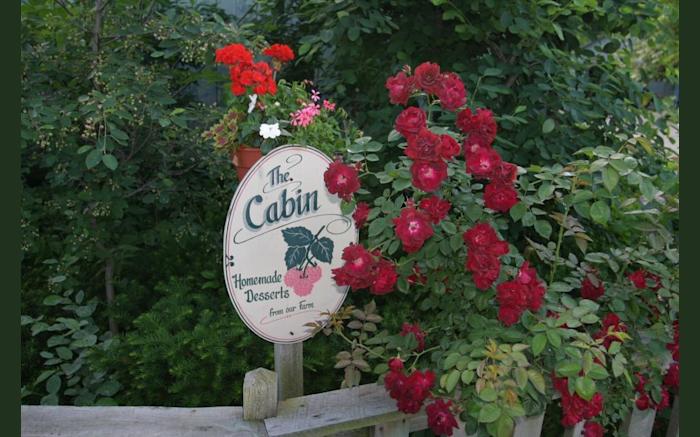 Cabin Cafe