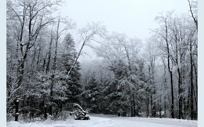 Laurel Summit State Park