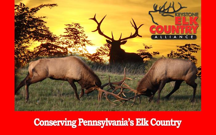 Westmoreland County Chapter - Keystone Elk Country Alliance