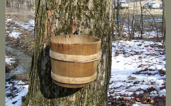 Somerset County Maple Producers