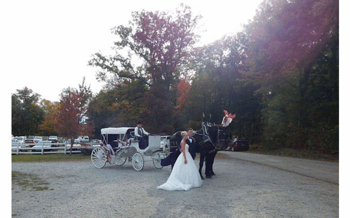 Horsing Round Carriage Service