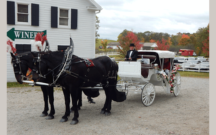 Horsing Round Carriage Service