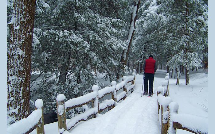 cross country skiing