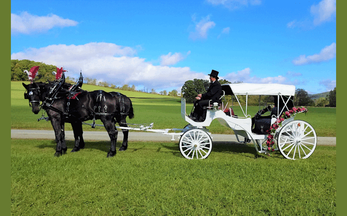 Horsing Round Carriage Service