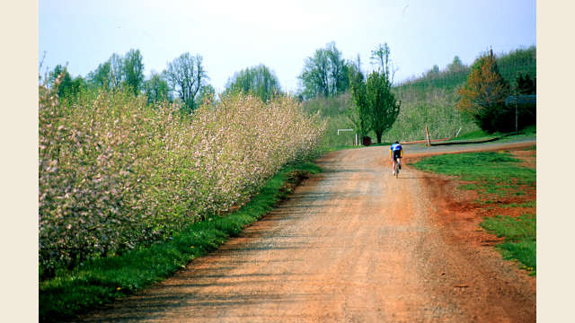 Mountain Biking
