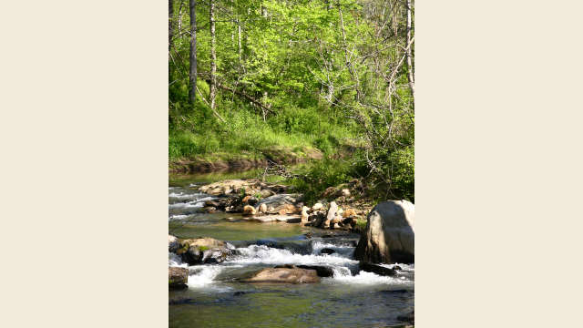 Shenandoah National Park