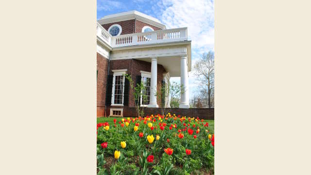 Monticello Side