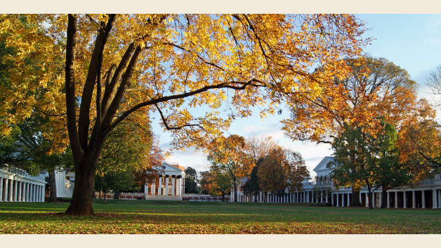 UVA Lawn Autumn