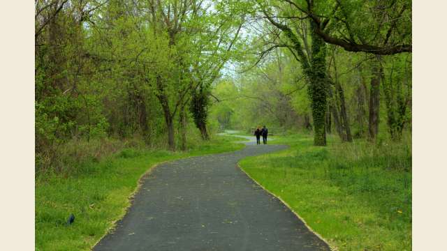Rivanna Trail