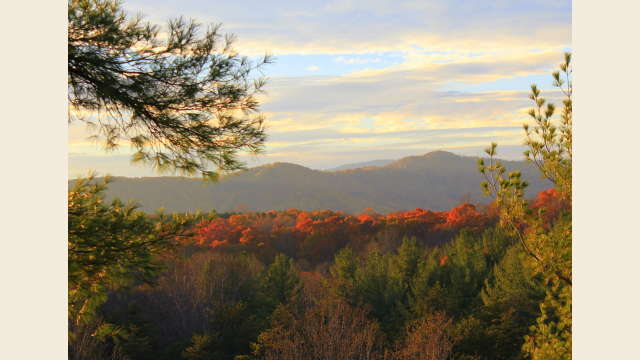 Fall in Albemarle County