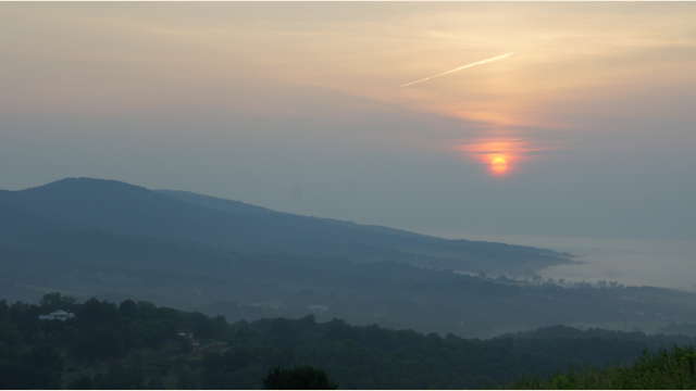 Morning Mist Near Monticello