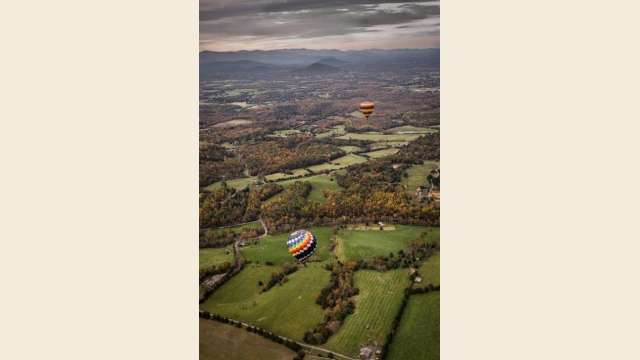 Hot Air Balloons