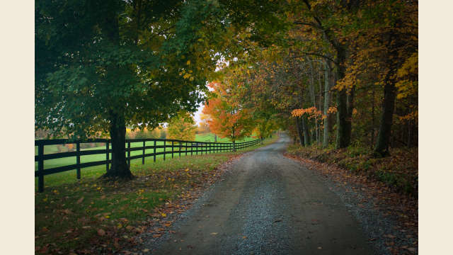Albemarle County Road