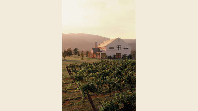 King Family Vineyard
