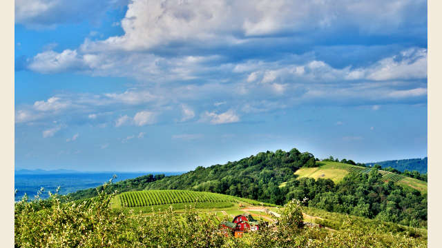 Carter Mountain Orchard