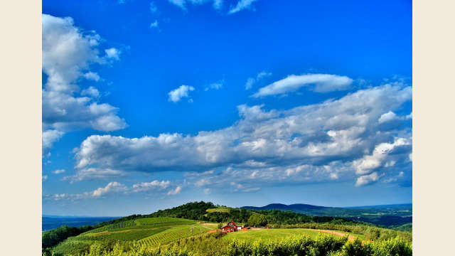 Carter Mountain Orchard