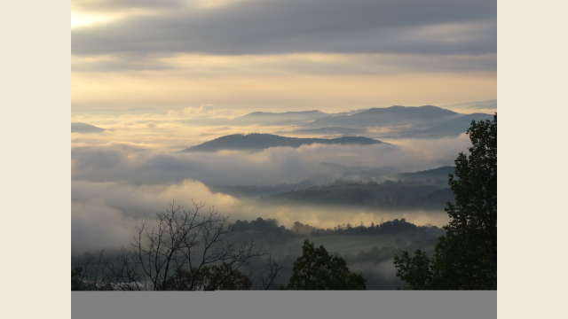 Albemarle Overlook